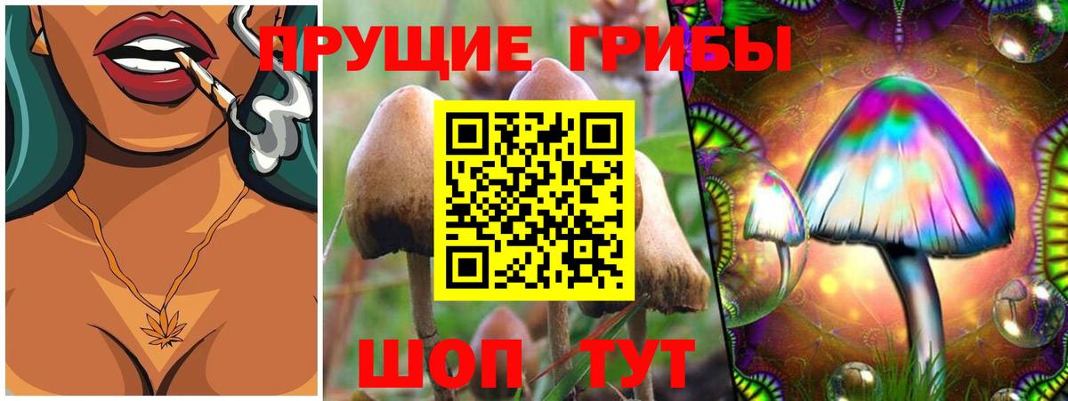 Чебаркуль  Псилоцибиновые грибы ЛСД  Галлюциногенные грибы Psilocybe  Вход с VPN 